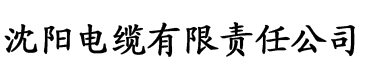 大主宰果果漫画电缆厂logo